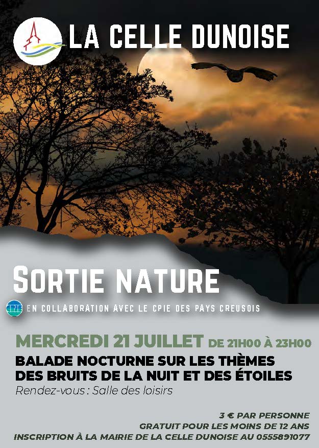 affiche CPIE 3